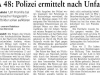 rz-artikel