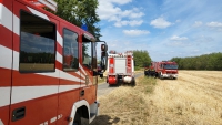 Flächenbrand-8